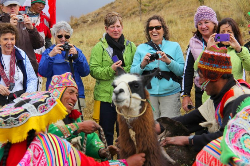 Llamas tell the best jokes... - in Peru