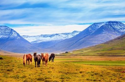 Iceland: The Land of Fire & Ice on Horseback