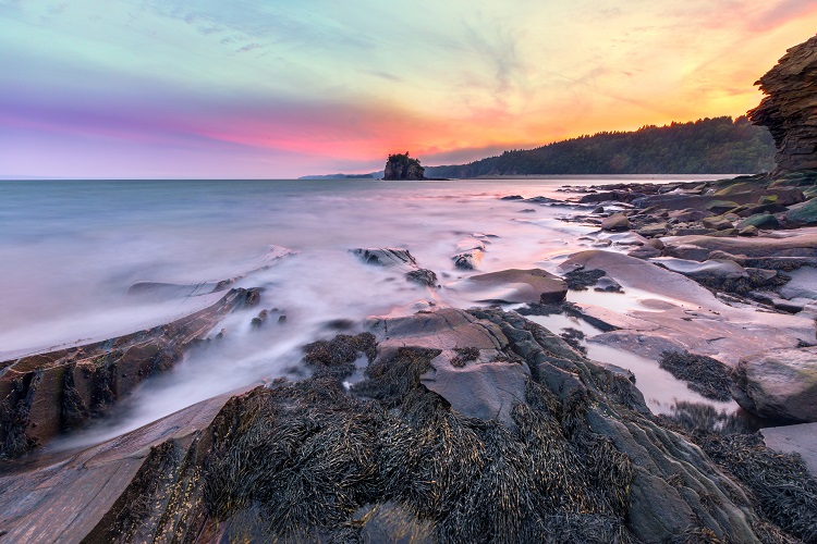 Rocky coastline of the Bay of Fundy at sunset