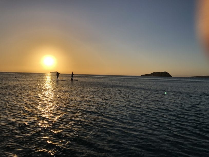 Stand up paddleboarders catching a beautiful sunset on the ocean in Sea of Cortex