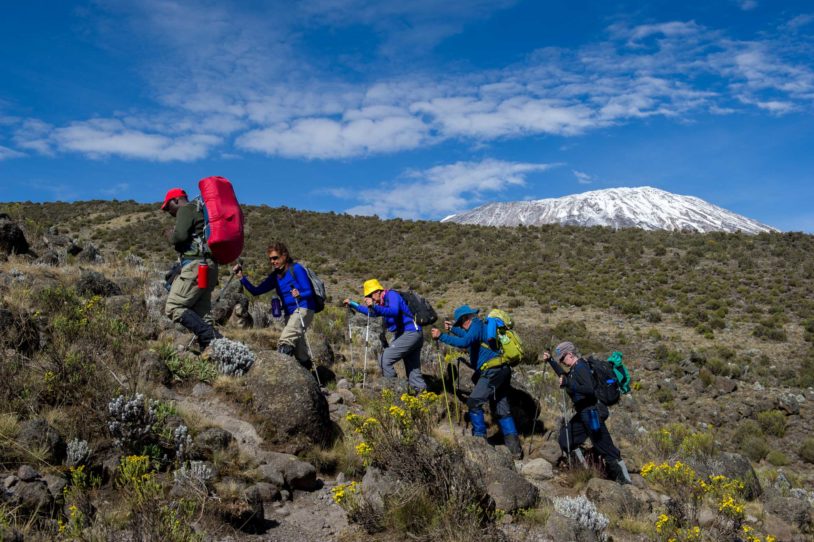 Terrain changes as hikers start to increase altitude on Kilimanjaro