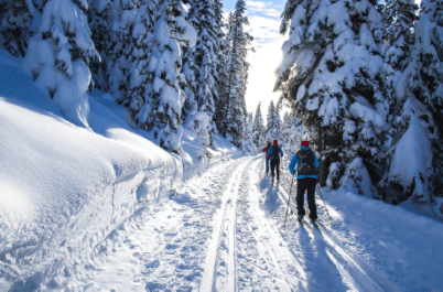 Canadian Rockies: The Ultimate Active Winter Adventure