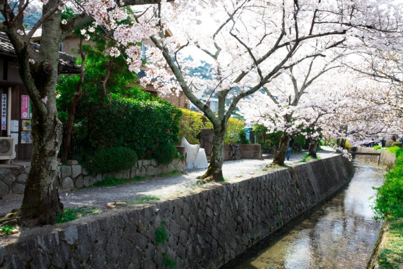 Kyoto's Philosopher's Pathway in Japan women's only travel