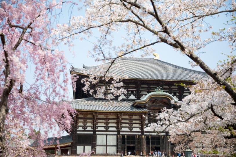 Todaiji Temple, a UNESCO World Heritage Site women's trip to Japan