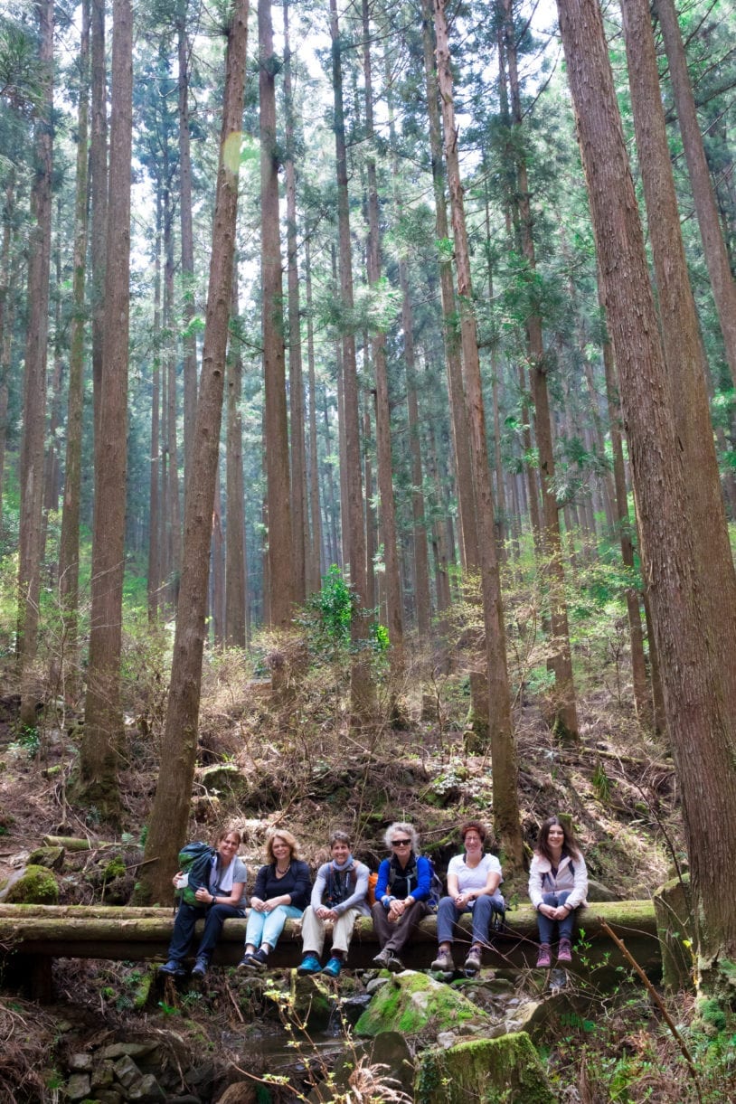 Women hiking the Kumano Kodo trail