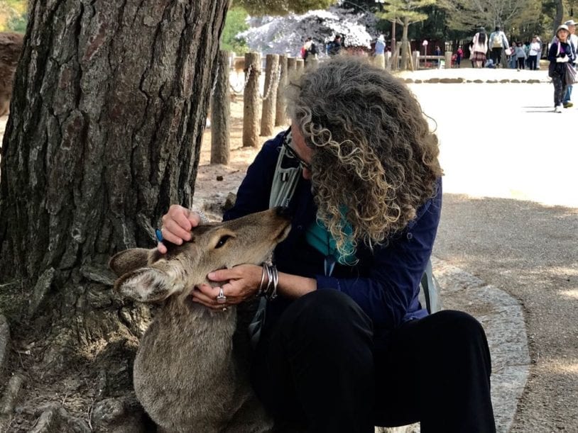 AdventureWomen Ambassador in Japan making friends with local deer
