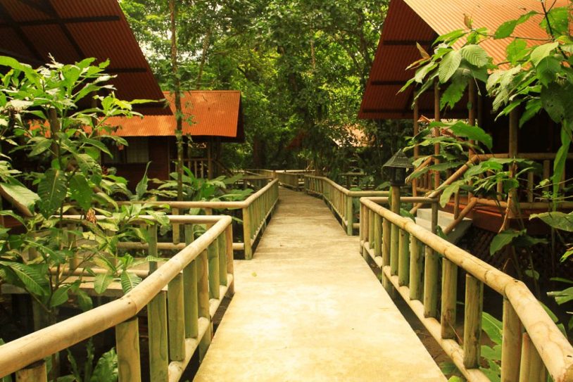 Tortuguero Aninga lodge wooden path