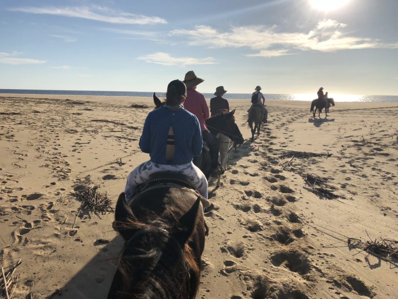 A line of guests horseback riding across a beac and towards the sun
