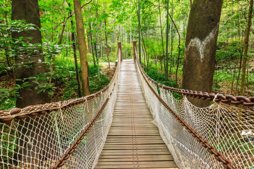 suspension bridge on a canopy walk in the Amazon