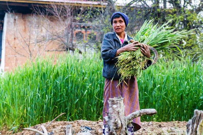 Farmer in Bumthang