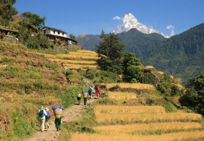 Hiking the foothills of Annapurnas