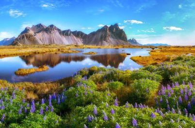 Gorgeous summer day in Iceland with lakes and wildflowers