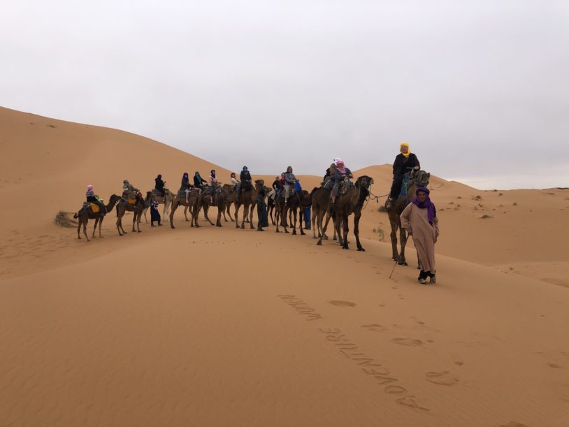 Riding camel acorss a sand dune