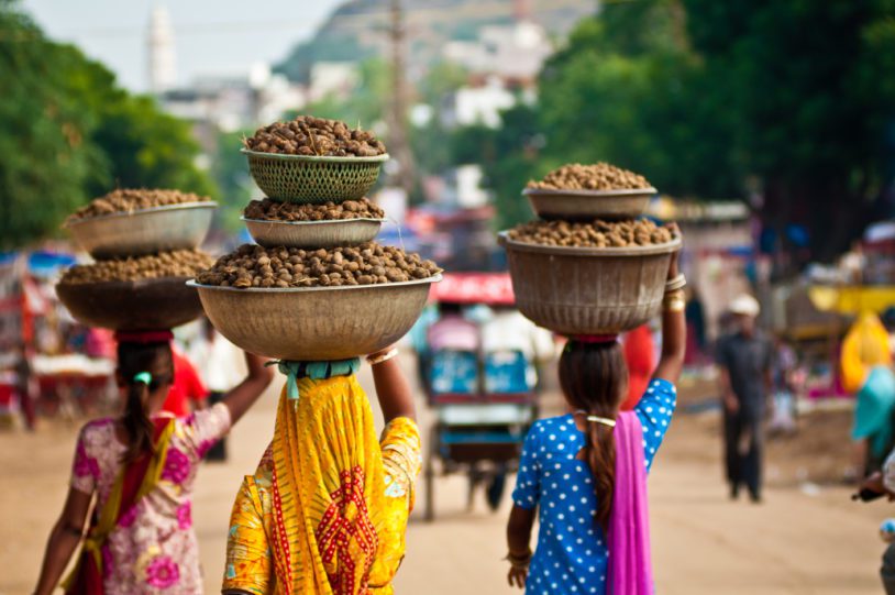 Sari wearing women carrying dung on their heads in baskets