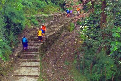 Steep rock steps in lush green surrounding in Nepal