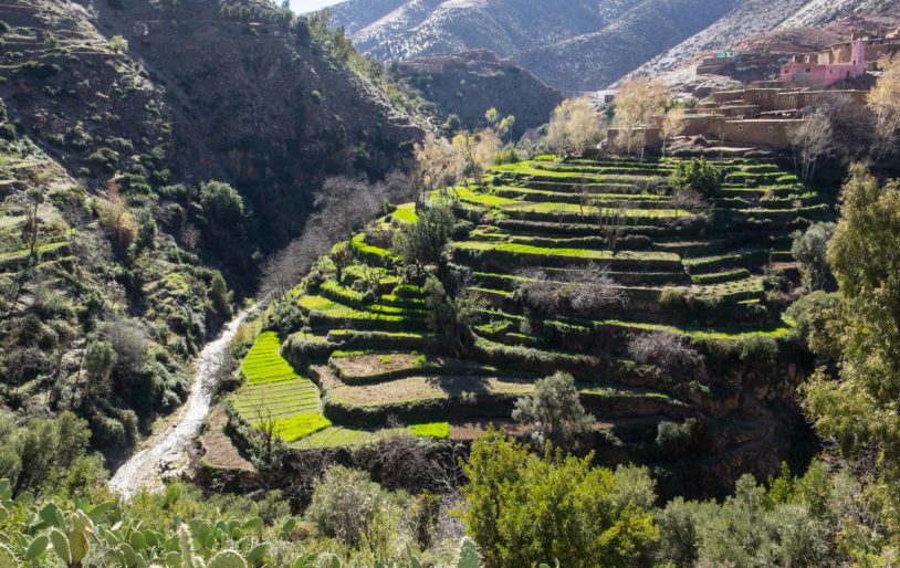Terraced lands below a Berber village in the Atlas Mountains, Morocco. North Africa