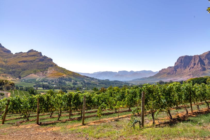 South African vineyard women's adventure travel