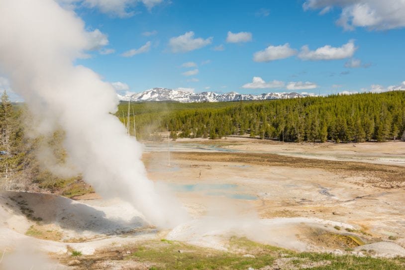 Steamboat geyser in Norris Basin in Yellowstone National Park, women's travel groups