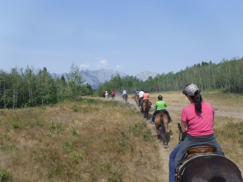 Horesback trail ride on a summer day