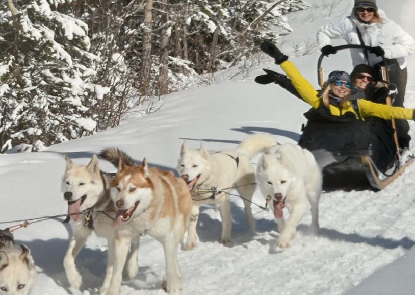 Dog sledding in Canadian Rockies