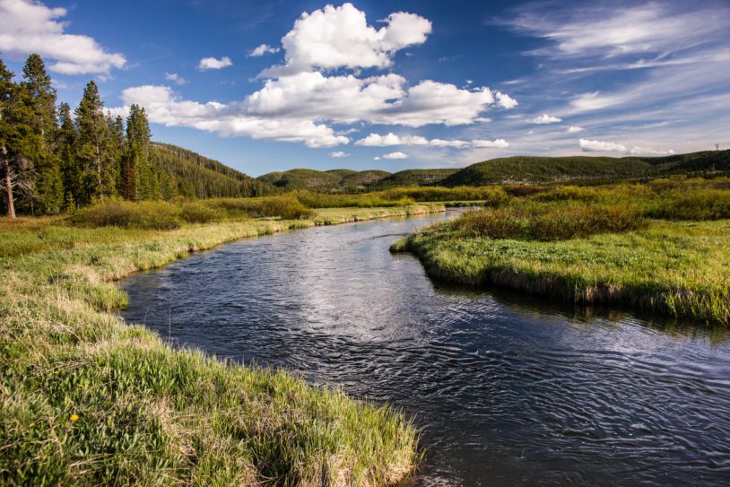 A pristine trout stream meanders through a valley in the Yellowstone back country.