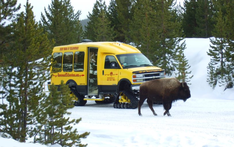Yellow wildlife watching vehicle built for winter