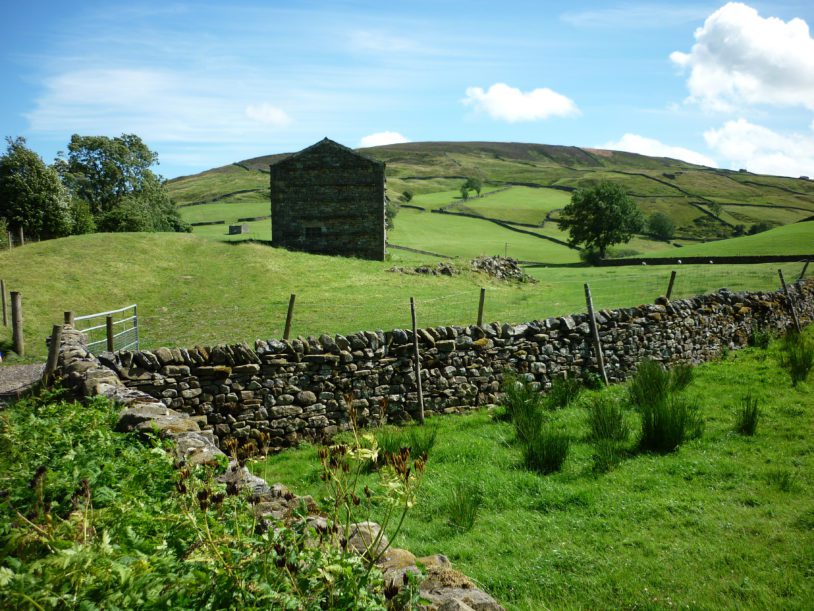 Close up of Swaledale's green pastures, rock walls and village homes