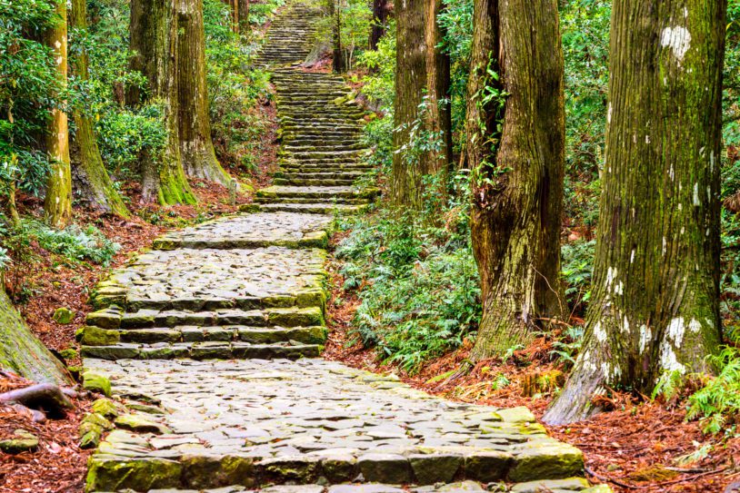 Kumano Kodo at Daimon-zaka, a sacred trail designated as a UNESCO World Heritage site in Nachi, Wakayama, Japan.